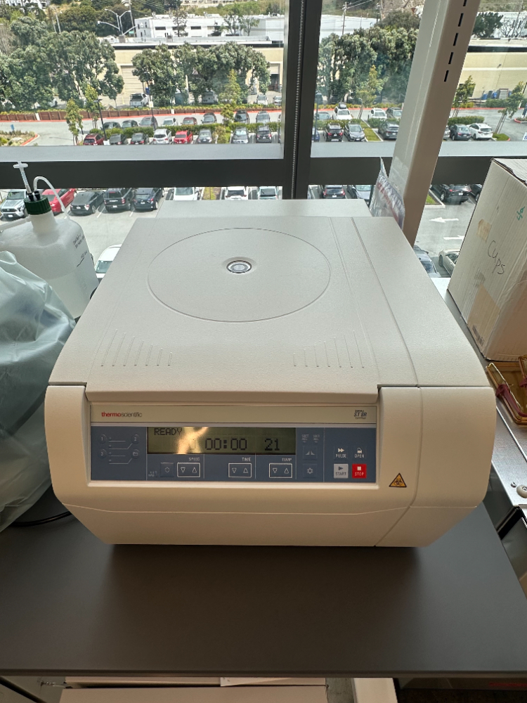 Image of Thermo Sorvall ST 8R Refrigerated Centrifuge